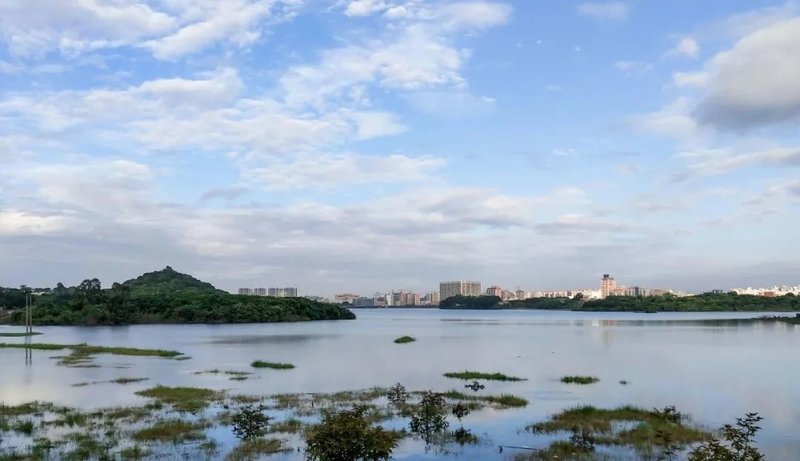 楼市回暖火速上车大前海理想人居！(图12)